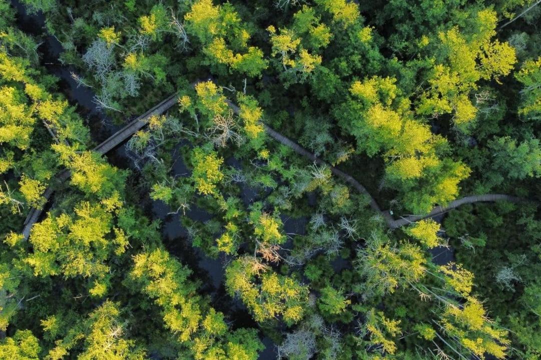 Camping Du Lac De Groléjac エクステリア 写真